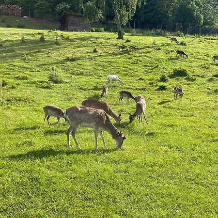 Cozy Souterrain Terrasse Garten Panoramablick