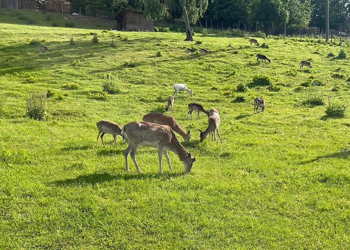 Cozy Souterrain Terrasse Garten Panoramablick